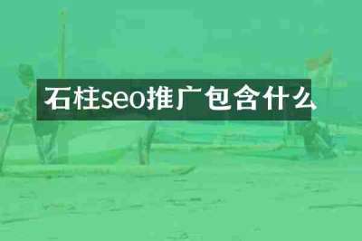 石柱seo推广包含什么