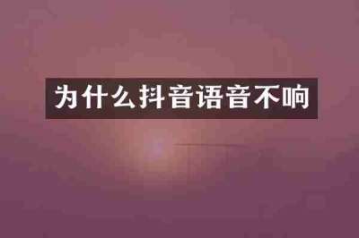 为什么抖音语音不响