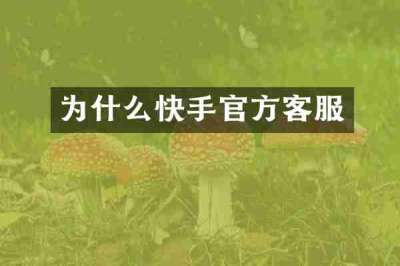 为什么快手官方客服