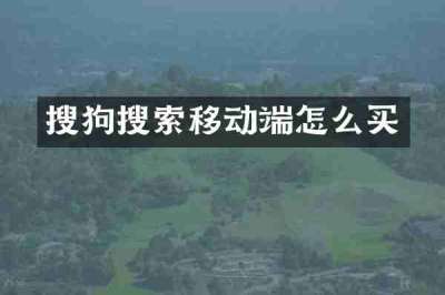 搜狗搜索移动端怎么买