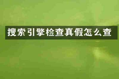 搜索引擎检查真假怎么查