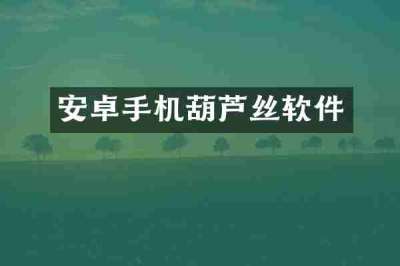 安卓手机葫芦丝软件