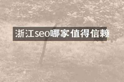浙江seo哪家值得信赖
