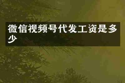 微信视频号代发工资是多少