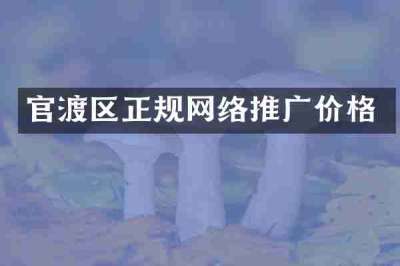 官渡区正规网络推广价格
