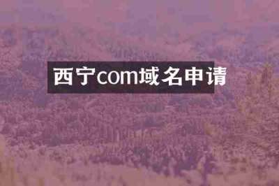 西宁com域名申请