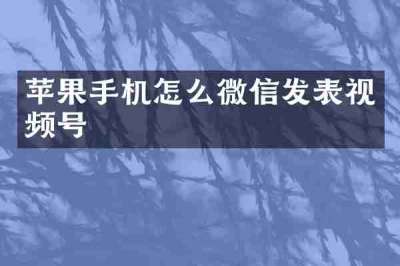 苹果手机怎么微信发表视频号