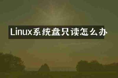 Linux系统盘只读怎么办