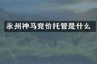 永州神马竞价托管是什么