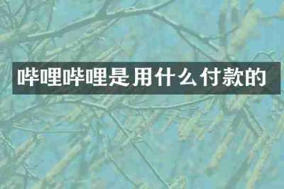哔哩哔哩是用什么付款的