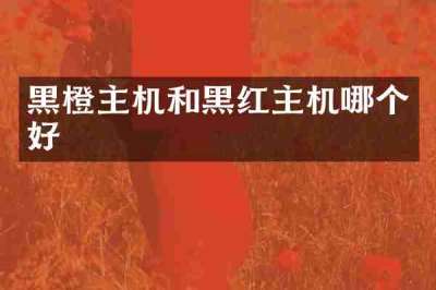黑橙主机和黑红主机哪个好