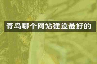 青岛哪个网站建设最好的