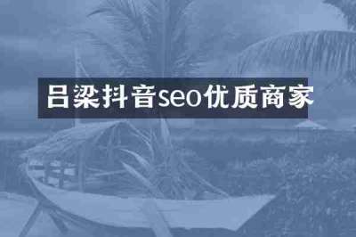 吕梁抖音seo优质商家