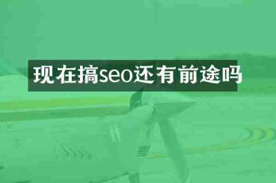 现在搞seo还有前途吗
