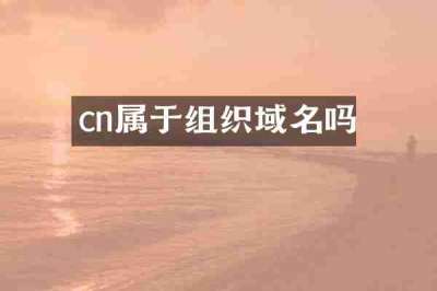 cn属于组织域名吗