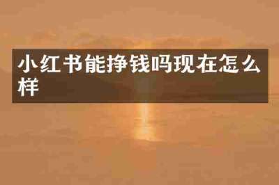 小红书能挣钱吗现在怎么样