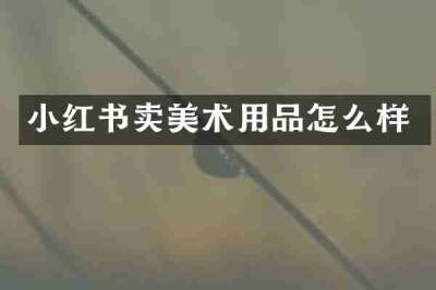 小红书卖美术用品怎么样