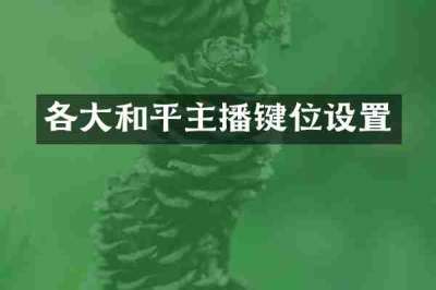 各大和平主播键位设置