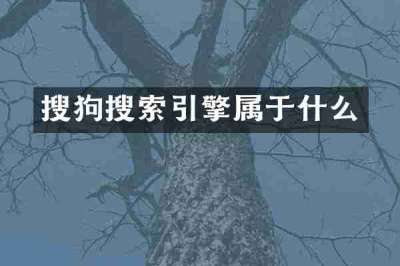 搜狗搜索引擎属于什么
