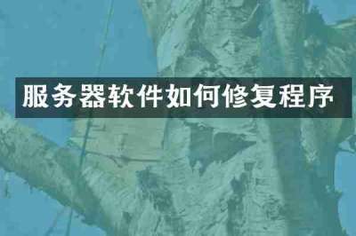 服务器软件如何修复程序
