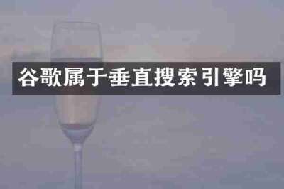 谷歌属于垂直搜索引擎吗