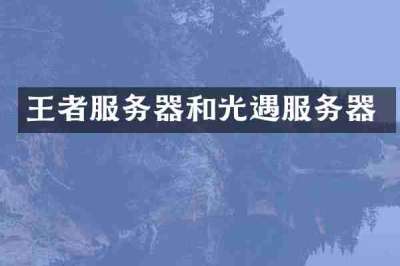 王者服务器和光遇服务器