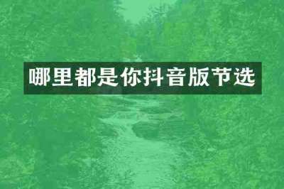 哪里都是你抖音版节选