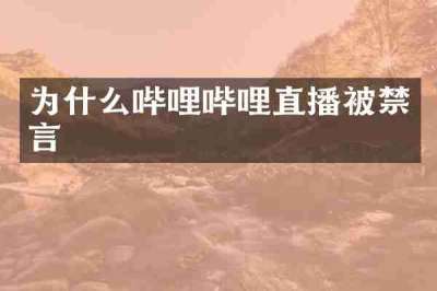 为什么哔哩哔哩直播被禁言