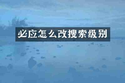 必应怎么改搜索级别