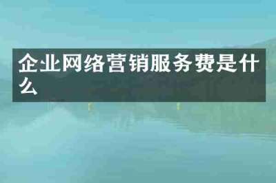企业网络营销服务费是什么