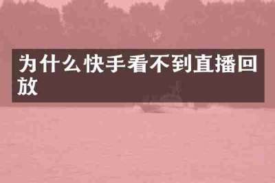 为什么快手看不到直播回放