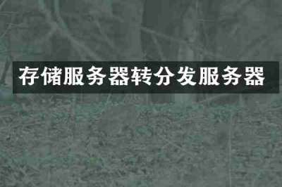 存储服务器转分发服务器