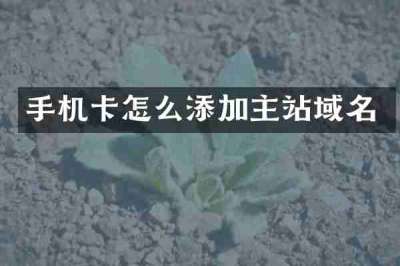 手机卡怎么添加主站域名