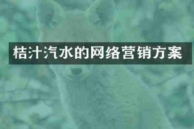 桔汁汽水的网络营销方案