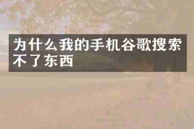 为什么我的手机谷歌搜索不了东西