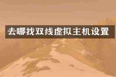 去哪找双线虚拟主机设置