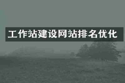 工作站建设网站排名优化