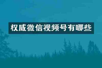 权威微信视频号有哪些