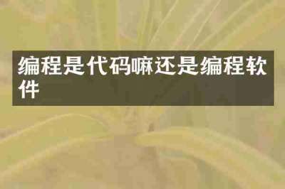 编程是代码嘛还是编程软件