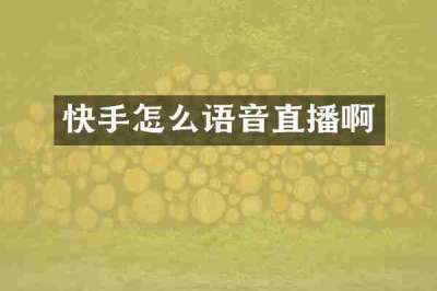 快手怎么语音直播啊