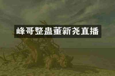 峰哥整蛊董新尧直播