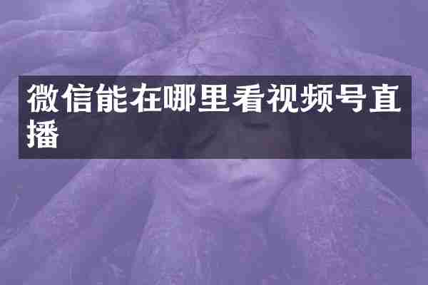 微信能在哪里看视频号直播