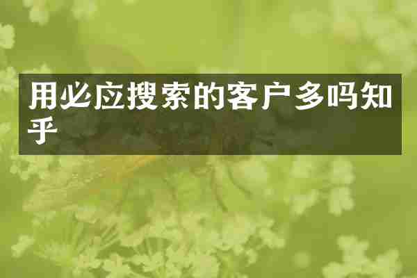 用必应搜索的客户多吗知乎