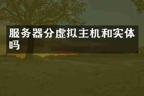 服务器分虚拟主机和实体吗