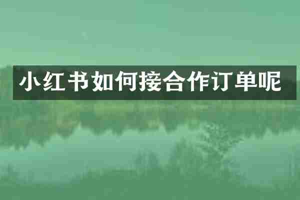 小红书如何接合作订单呢