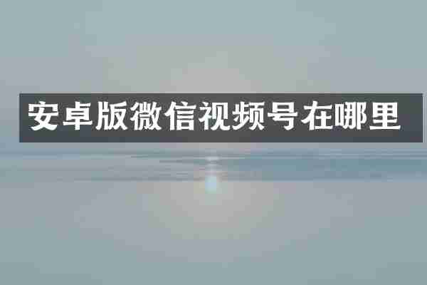 安卓版微信视频号在哪里