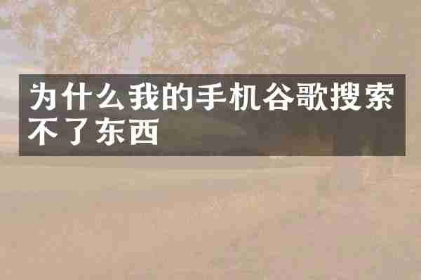 为什么我的手机谷歌搜索不了东西