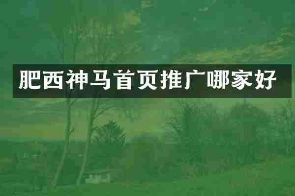 肥西神马首页推广哪家好