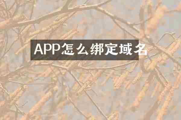 APP怎么绑定域名