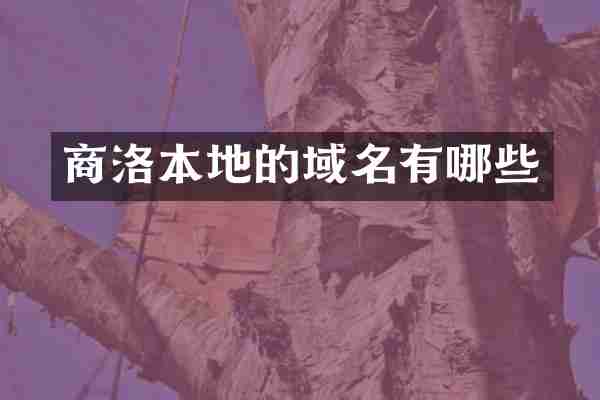 商洛本地的域名有哪些